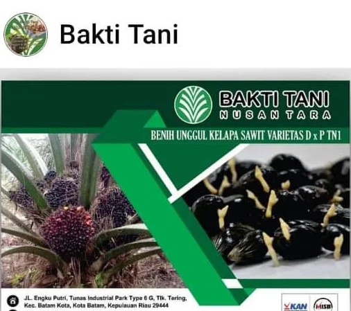 FB_IMG_1627459926933